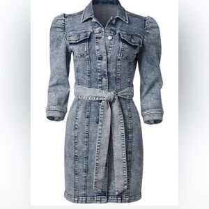Denim Belted Dress